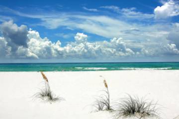 Pensacola Beach Rentals on Best Places To Eat In Pensacola Beach  Florida   Vacation Rentals In